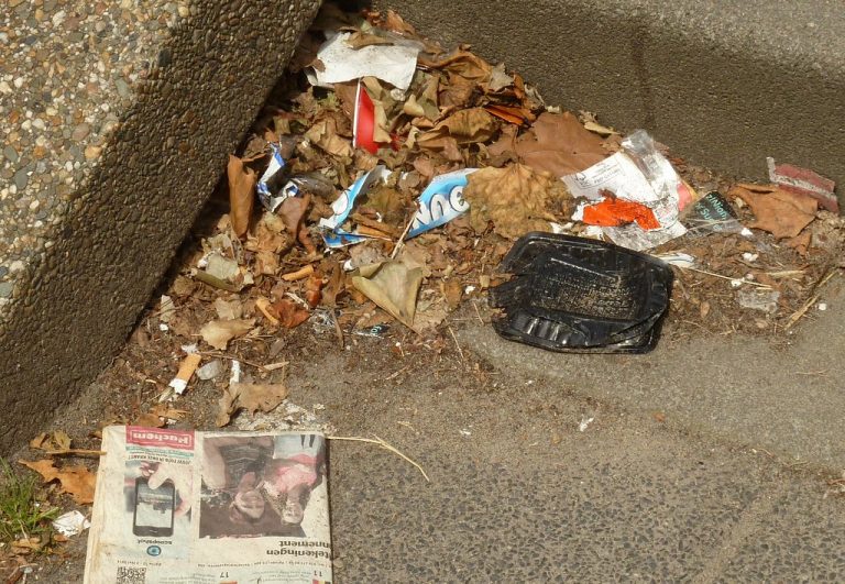 Limpieza síndrome de Diógenes en Porta