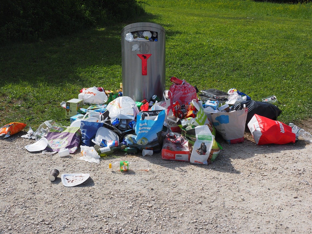 Limpieza síndrome de Diógenes en Vallirana