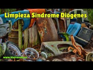 Lee más sobre el artículo Limpieza síndrome de Diógenes Sant Vicenç de Montalt