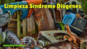 Lee más sobre el artículo Limpieza síndrome de Diógenes Tremp