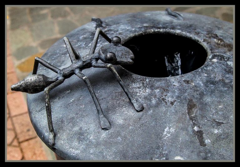 precio limpieza sindrome diógenes en Palamós