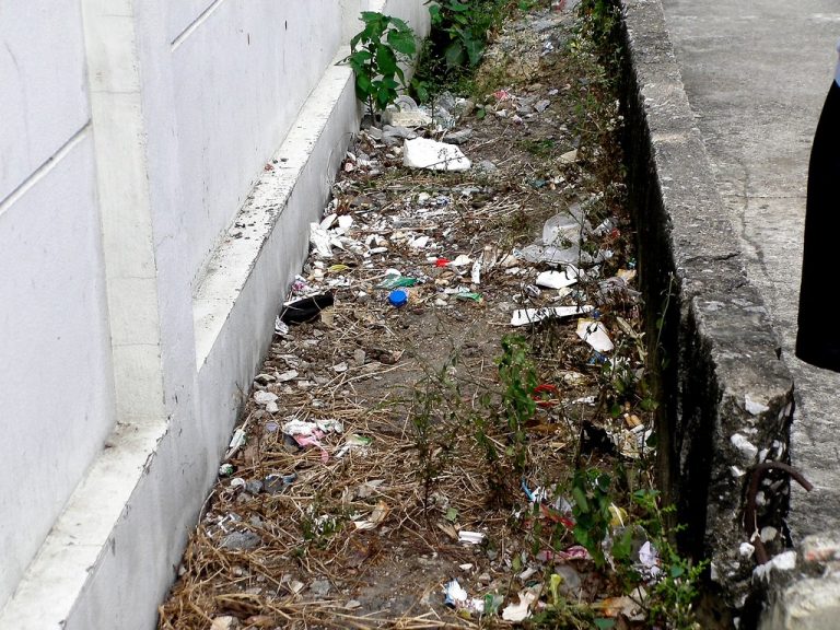 precio limpieza sindrome diógenes en Vila-seca